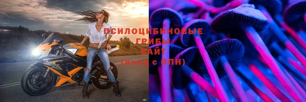 мяу мяу мука Баксан
