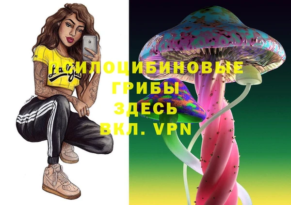 бутират Новодвинск